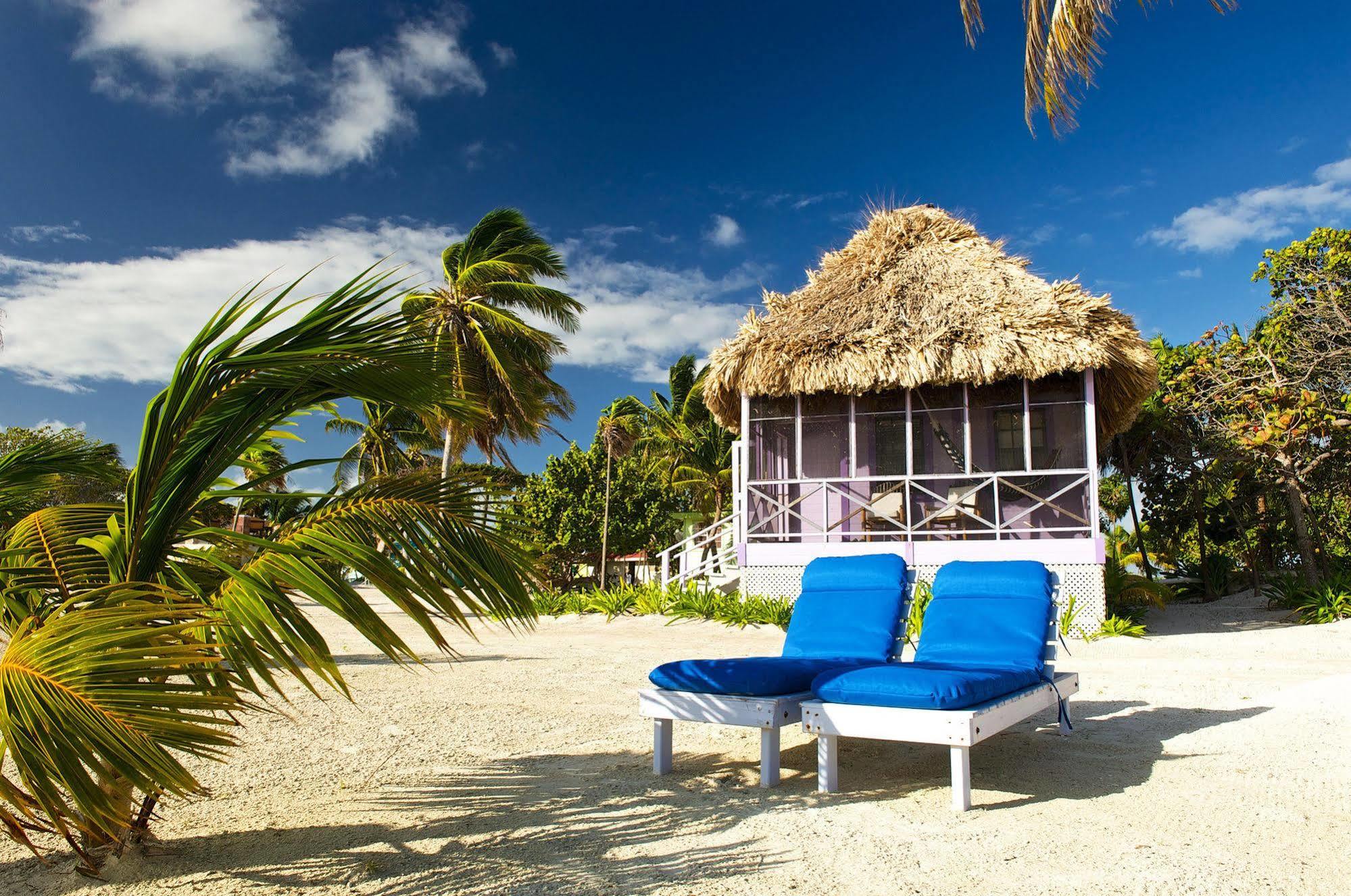 Blackbird Caye Resort Turneffe Atoll Екстер'єр фото